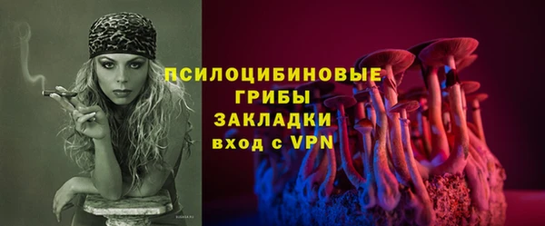 дживик Алексеевка