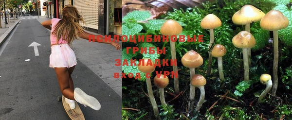 прущие крисы Алексин