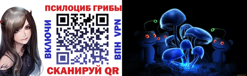 где найти   Киселёвск  Галлюциногенные грибы GOLDEN TEACHER 